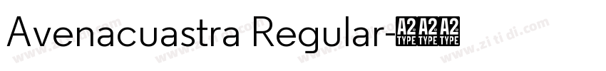 Avenacuastra Regular字体转换